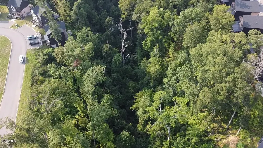 145 Reedmont Way, Sevierville, TN 37876 - #3