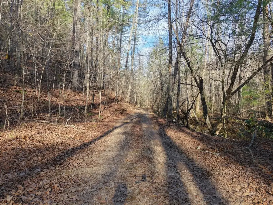 0 Bakers Creek Road, Old Fort, TN 37362 - #3