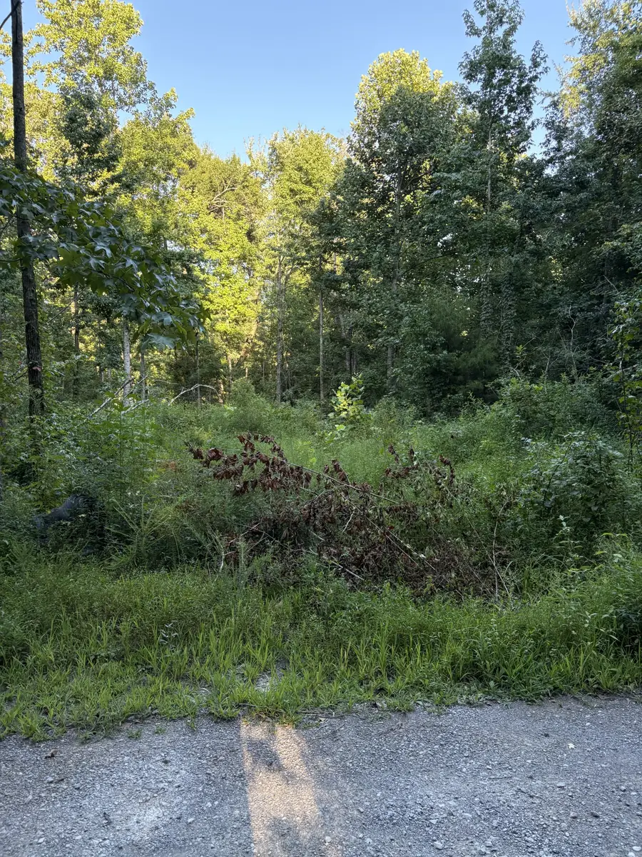 0 Shiloh Rd, Beechgrove, TN 37018 - #2