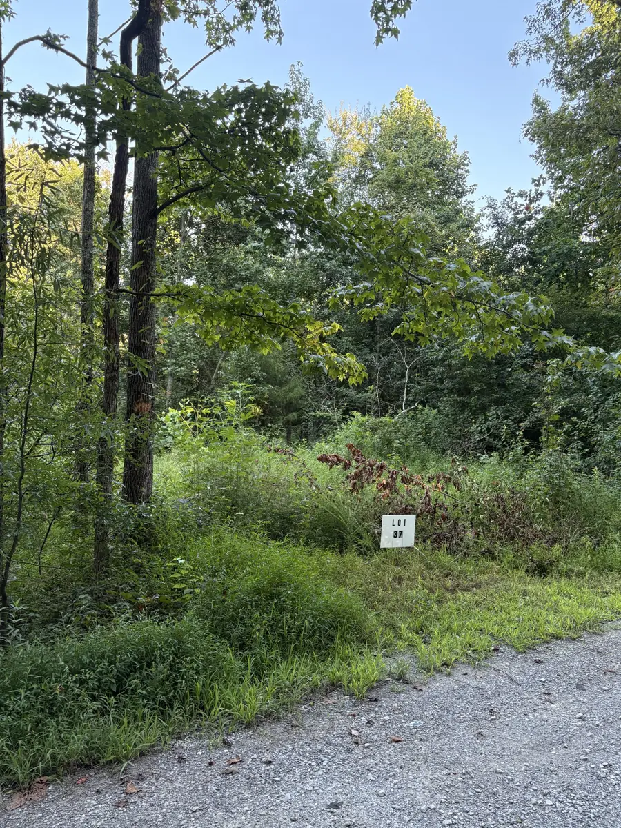 0 Shiloh Rd, Beechgrove, TN 37018 - #3