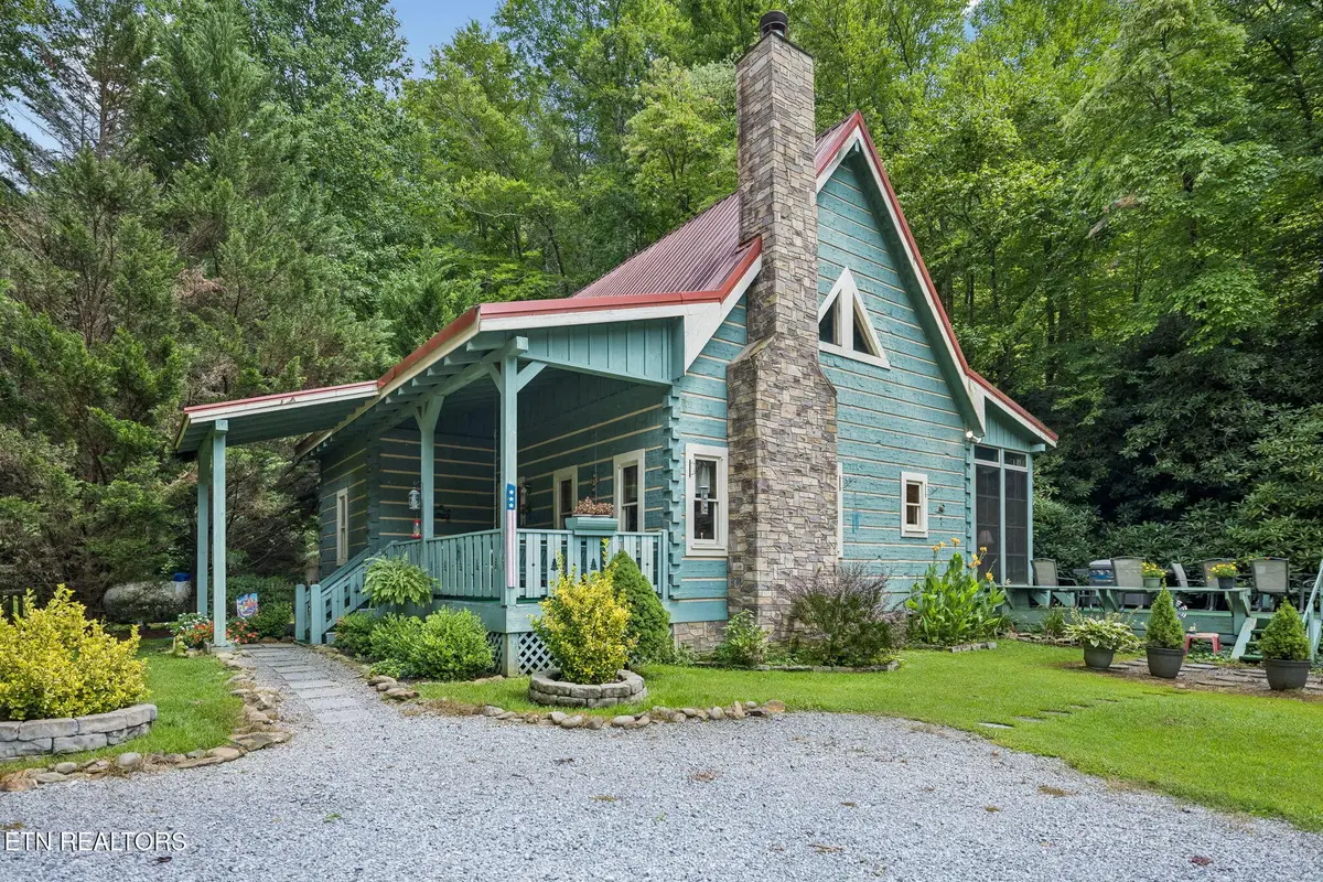 4643 Raven Branch Rd, Del Rio, TN 37727 - #1