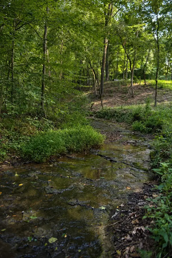 7368 Overbey Rd, Fairview, TN 37062