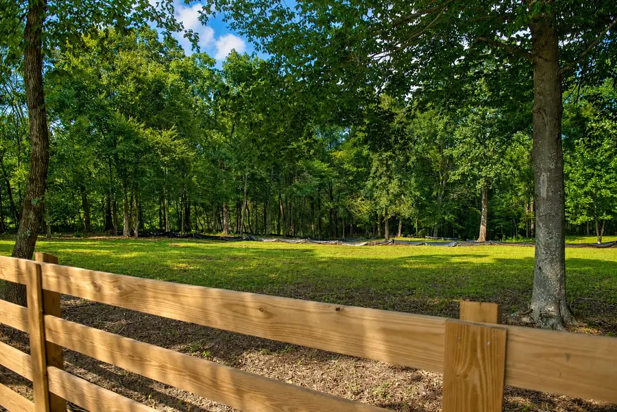 7368 Overbey Rd, Fairview, TN 37062 - #3