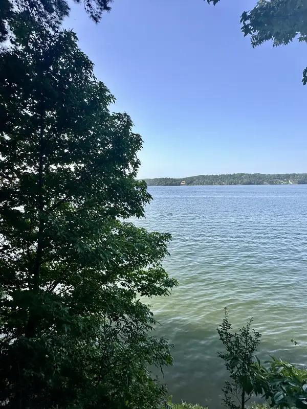 0 Paradise Drive, Waterloo, AL 35677