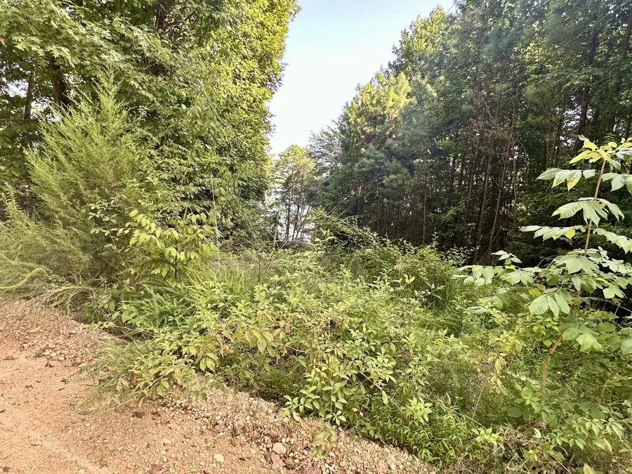 0 Paradise Drive, Waterloo, AL 35677 - #2