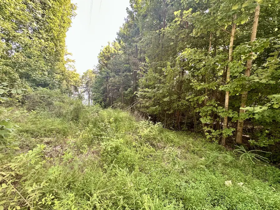 0 Paradise Drive, Waterloo, AL 35677 - #3