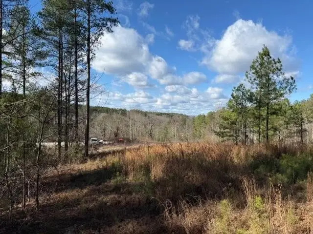0 Birds Eye Way, Guild, TN 37340 - #1