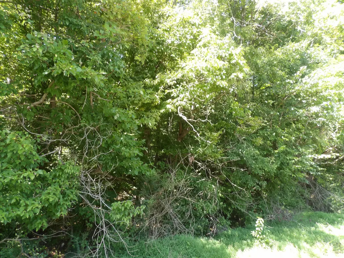 0 Highway 13 South, Waverly, TN 37185 - #1