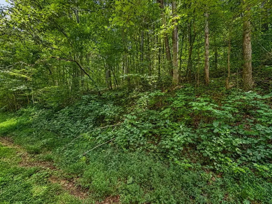 0 Johnson Valley Road, Philadelphia, TN 37846 - #2