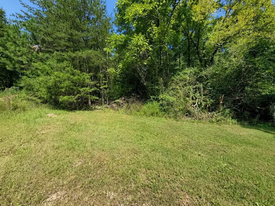 0 Black Oak Ridge Road, Dayton, TN 37321 - #2