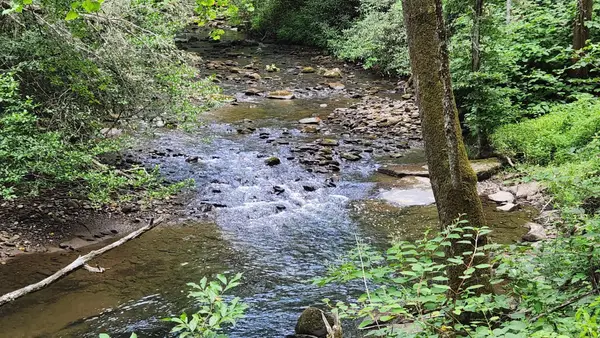 0 Tumbling Creek Road, Copperhill, TN 37317