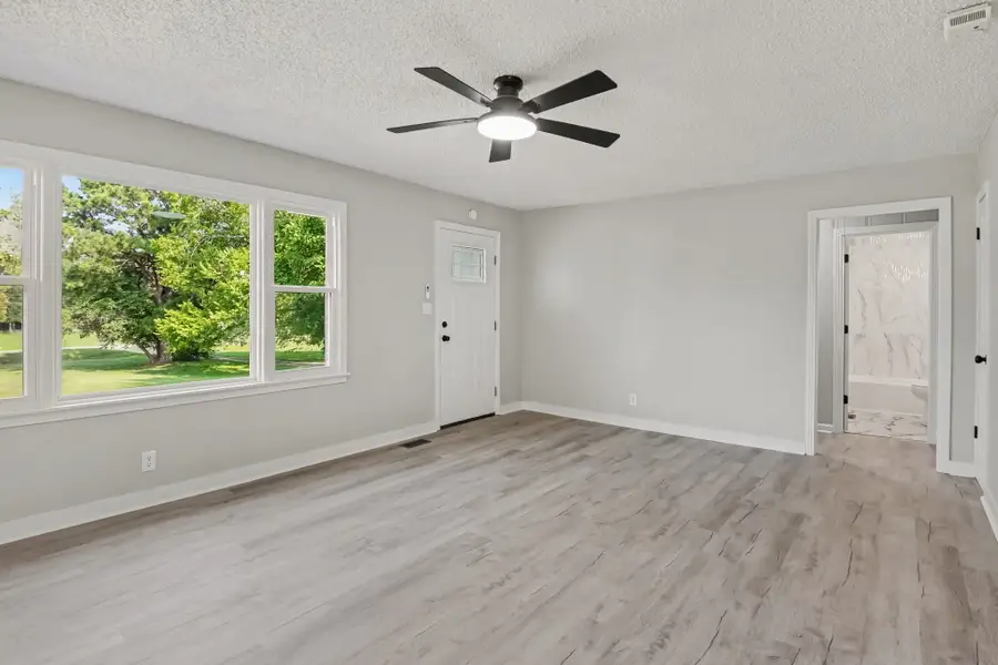 5672 Highway 161, Springfield, TN 37172 - #3