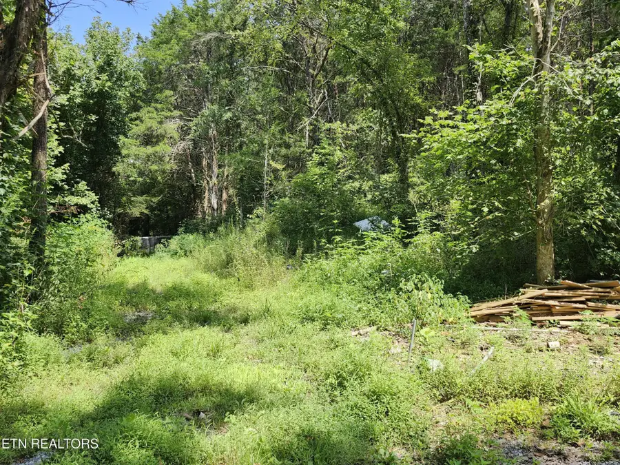 340 Swadis Drive, Sevierville, TN 37876 - #2