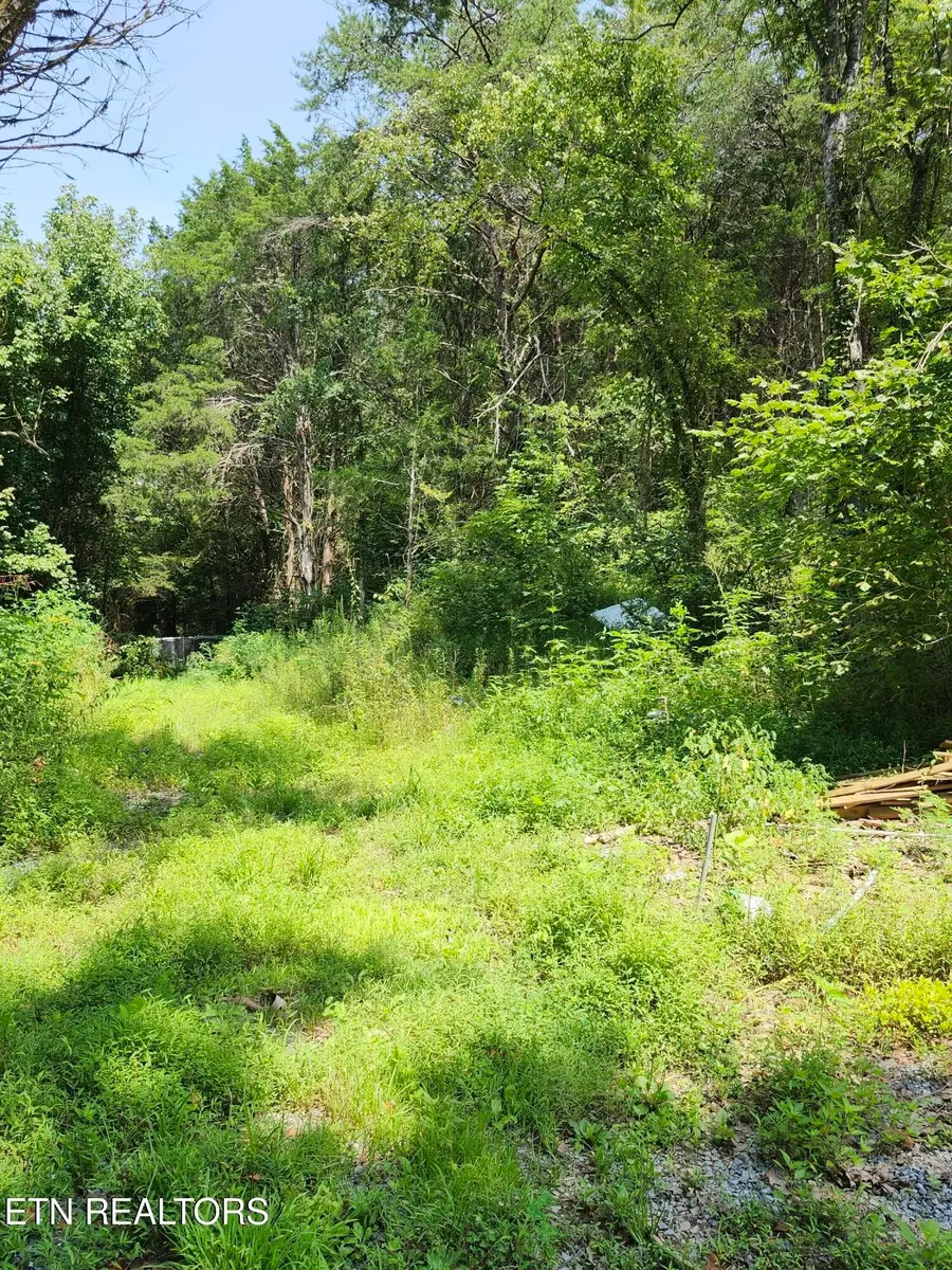 340 Swadis Drive, Sevierville, TN 37876 - #3