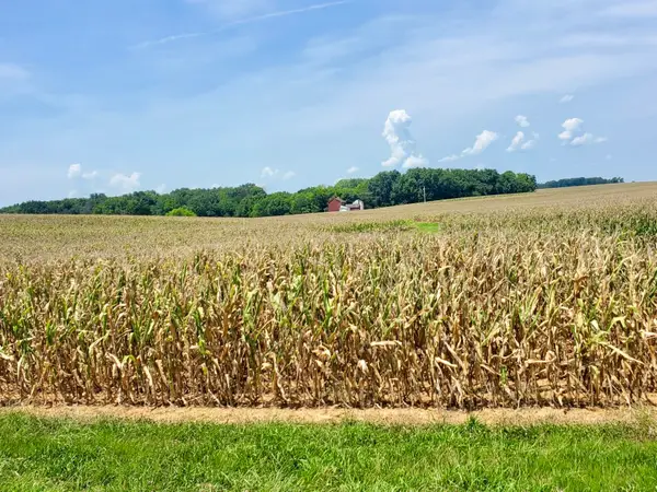 1577 Adairville Rd, Franklin, KY 42134