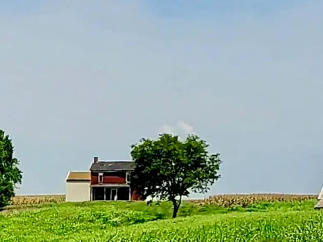 1577 Adairville Rd, Franklin, KY 42134 - #2