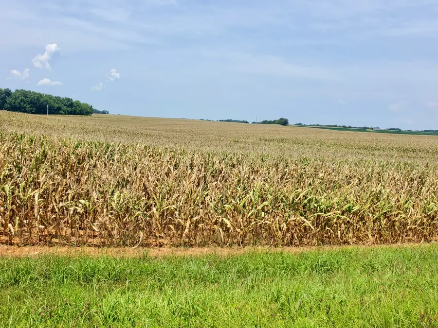 1577 Adairville Rd, Franklin, KY 42134 - #3