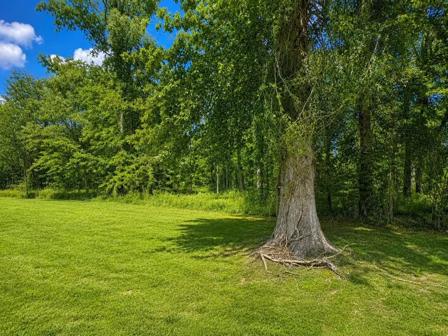 5144 Batchelor St, Clarksville, TN 37043 - #3