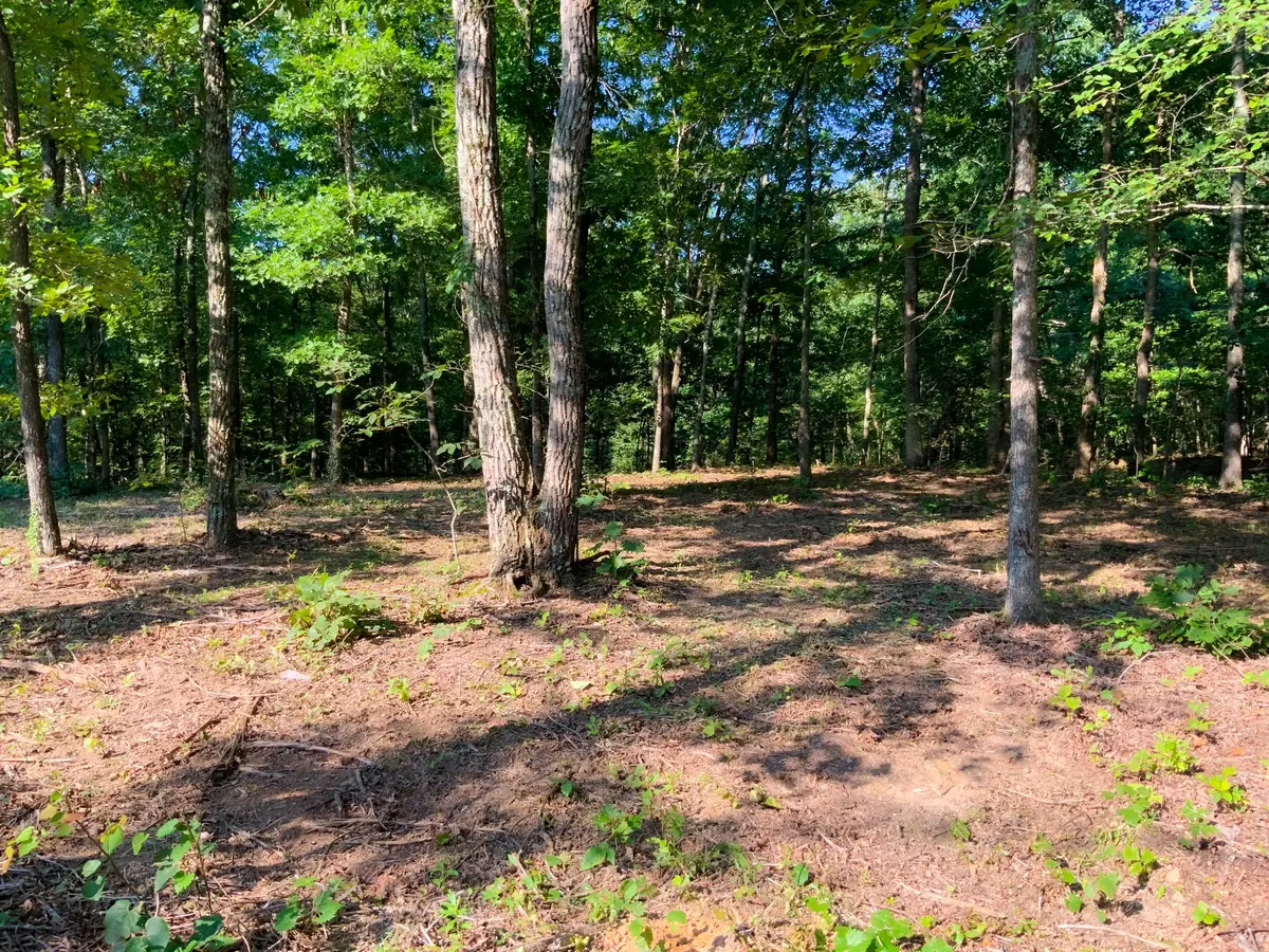 0 Hwy 232, Dover, TN 37058 - #1