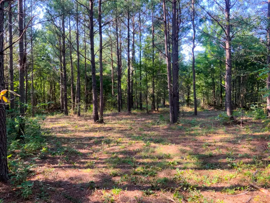 0 Hwy 232, Dover, TN 37058 - #2