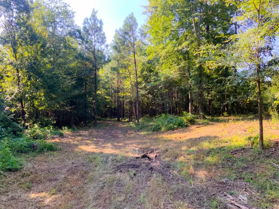 0 Hwy 232, Dover, TN 37058 - #3