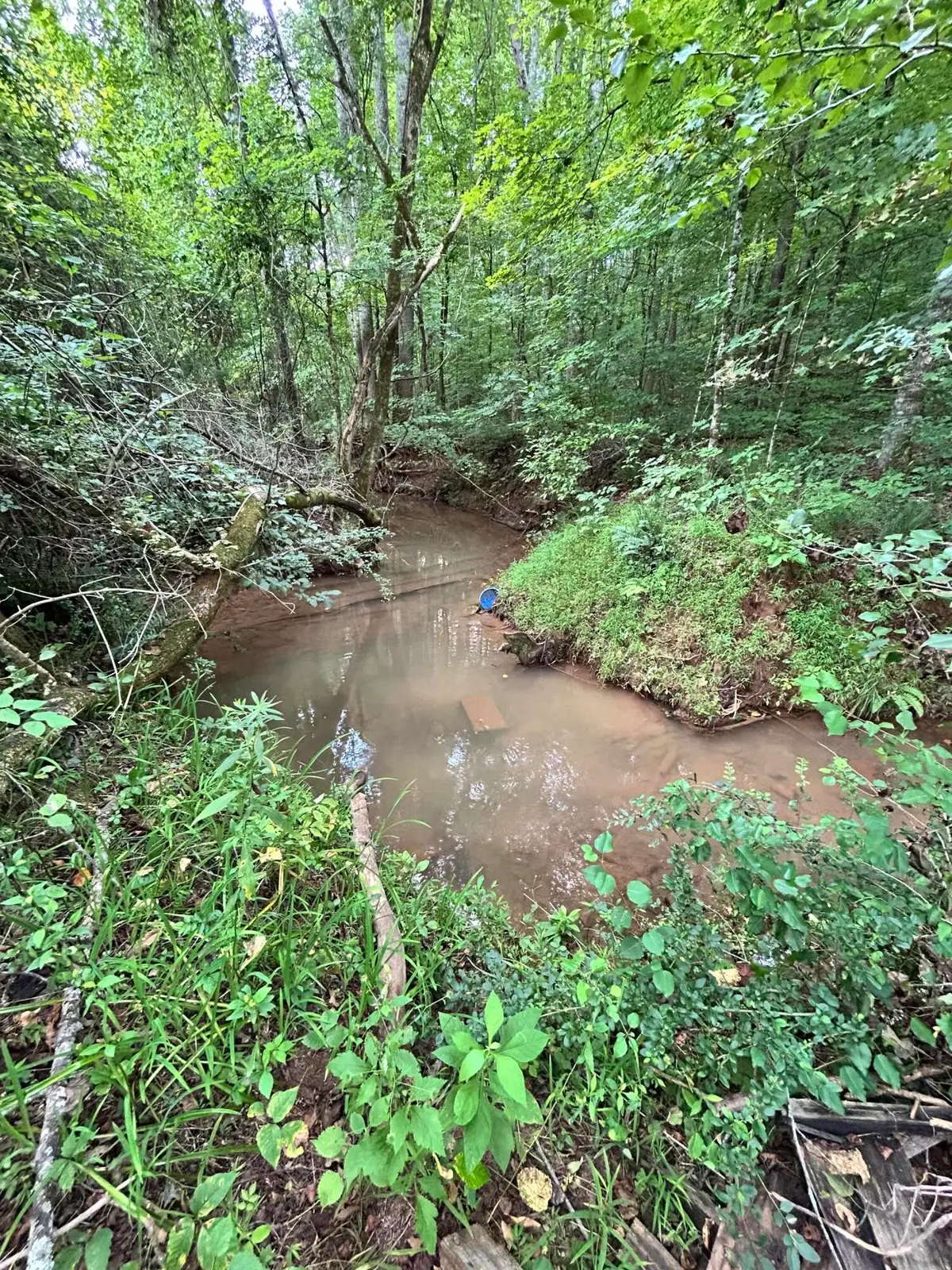 2656 Ballplay Road, Madisonville, TN 37354 - #1