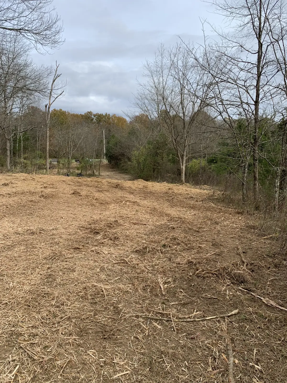 0 Plain View Lane, Spring Hill, TN 37174 - #1