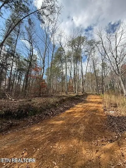291 Palow Rd, Benton, TN 37307 - #1