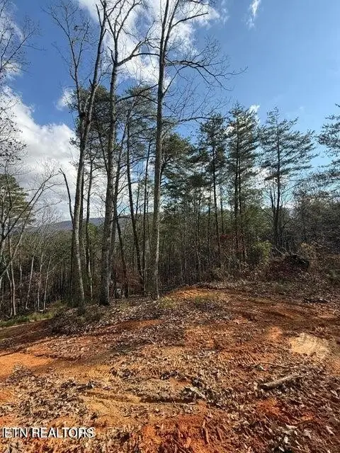 291 Palow Rd, Benton, TN 37307 - #3