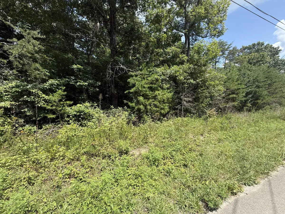 425 Woodland Avenue, Altamont, TN 37301 - #1