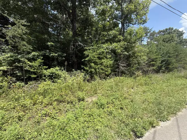425 Woodland Avenue, Altamont, TN 37301
