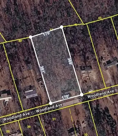 425 Woodland Avenue, Altamont, TN 37301 - #2