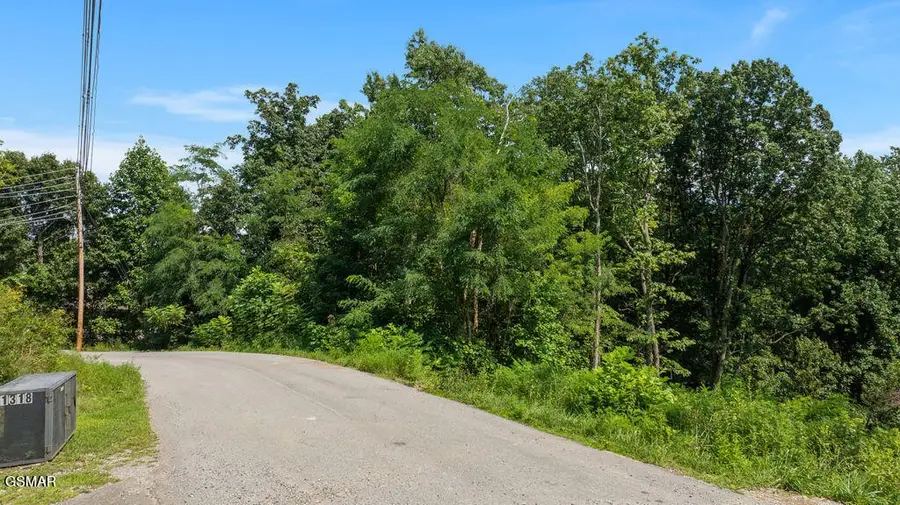 1315 Garrett Drive, Gatlinburg, TN 37738 - #2