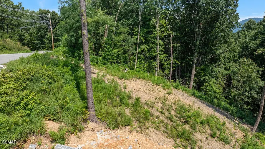 1315 Garrett Drive, Gatlinburg, TN 37738 - #3