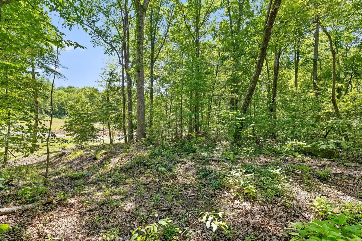 0 Maple Leaf Trail, Lookout Mountain, GA 30750 - #1