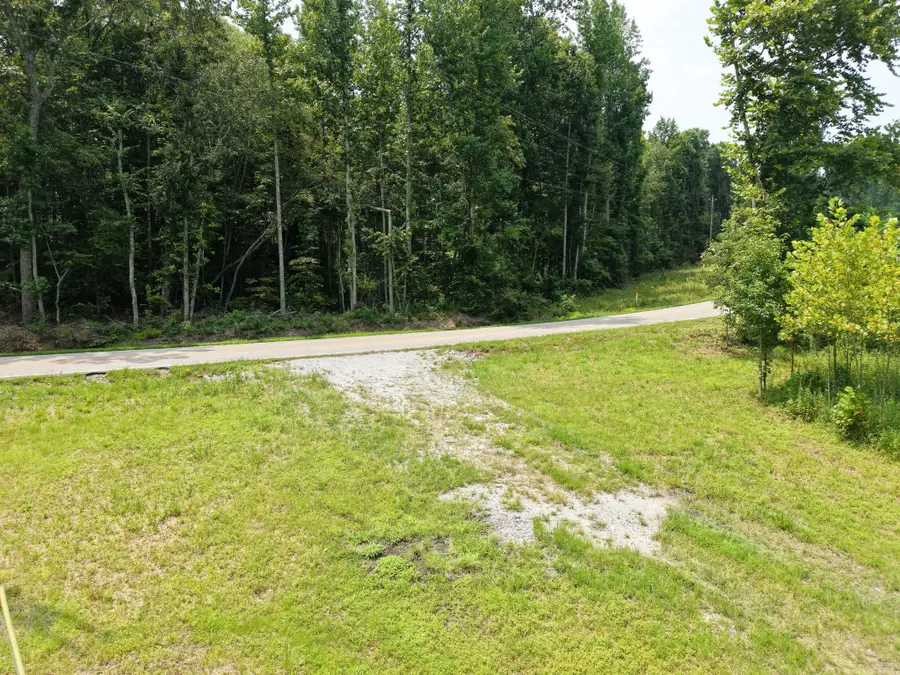 0 Birdsong Rd, Holladay, TN 38341 - #3