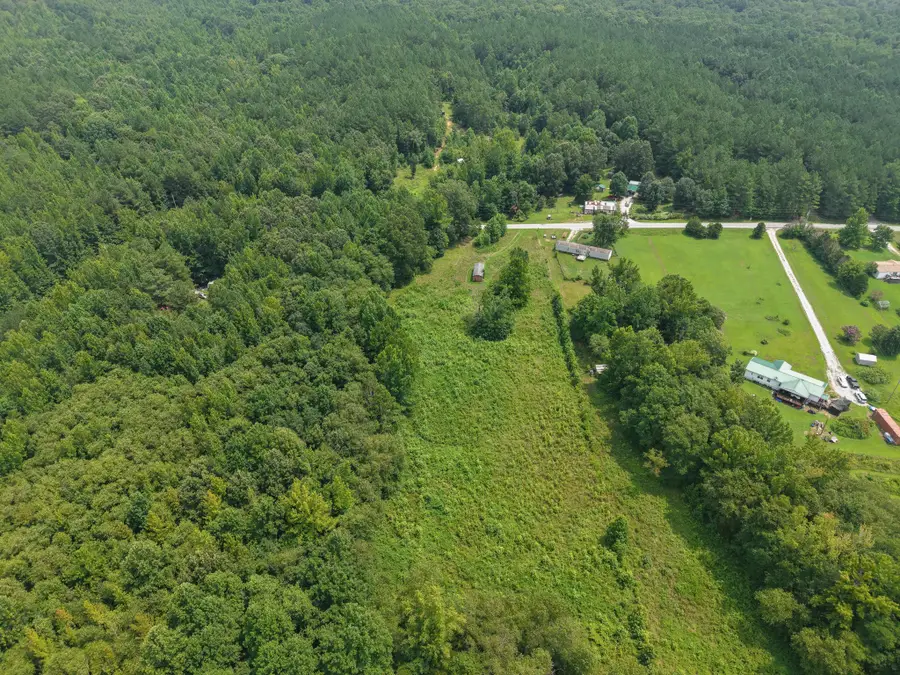 603 Gobbler Dr, Holladay, TN 38341 - #3
