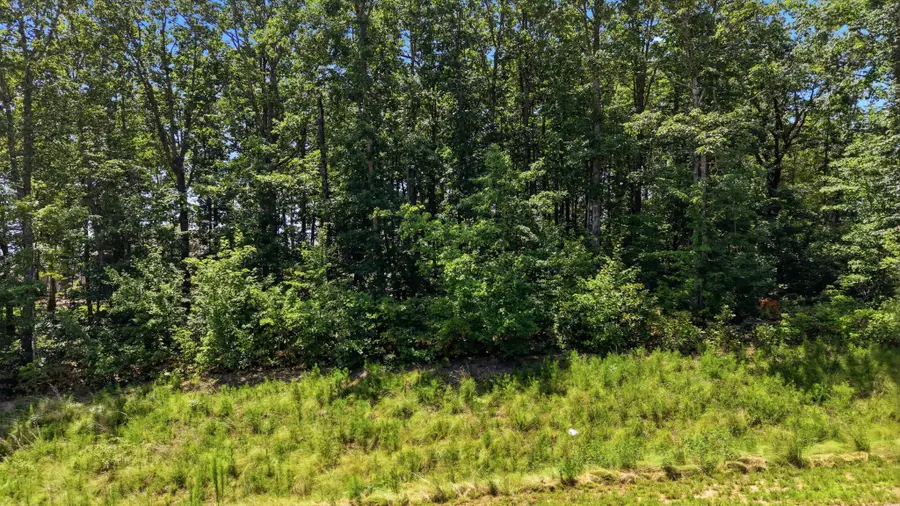 1402 Bent Hickory Road, Signal Mountain, TN 37377 - #2