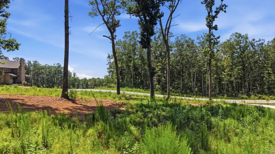 8581 Bear Paw Trail, Signal Mountain, TN 37377 - #3