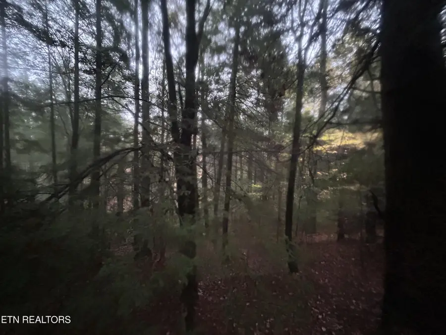 0 Wilder Rd, Clarkrange, TN 38553 - #3