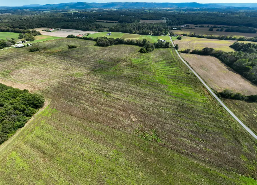 1 Clarence Finney Rd, Hillsboro, TN 37342 - #3