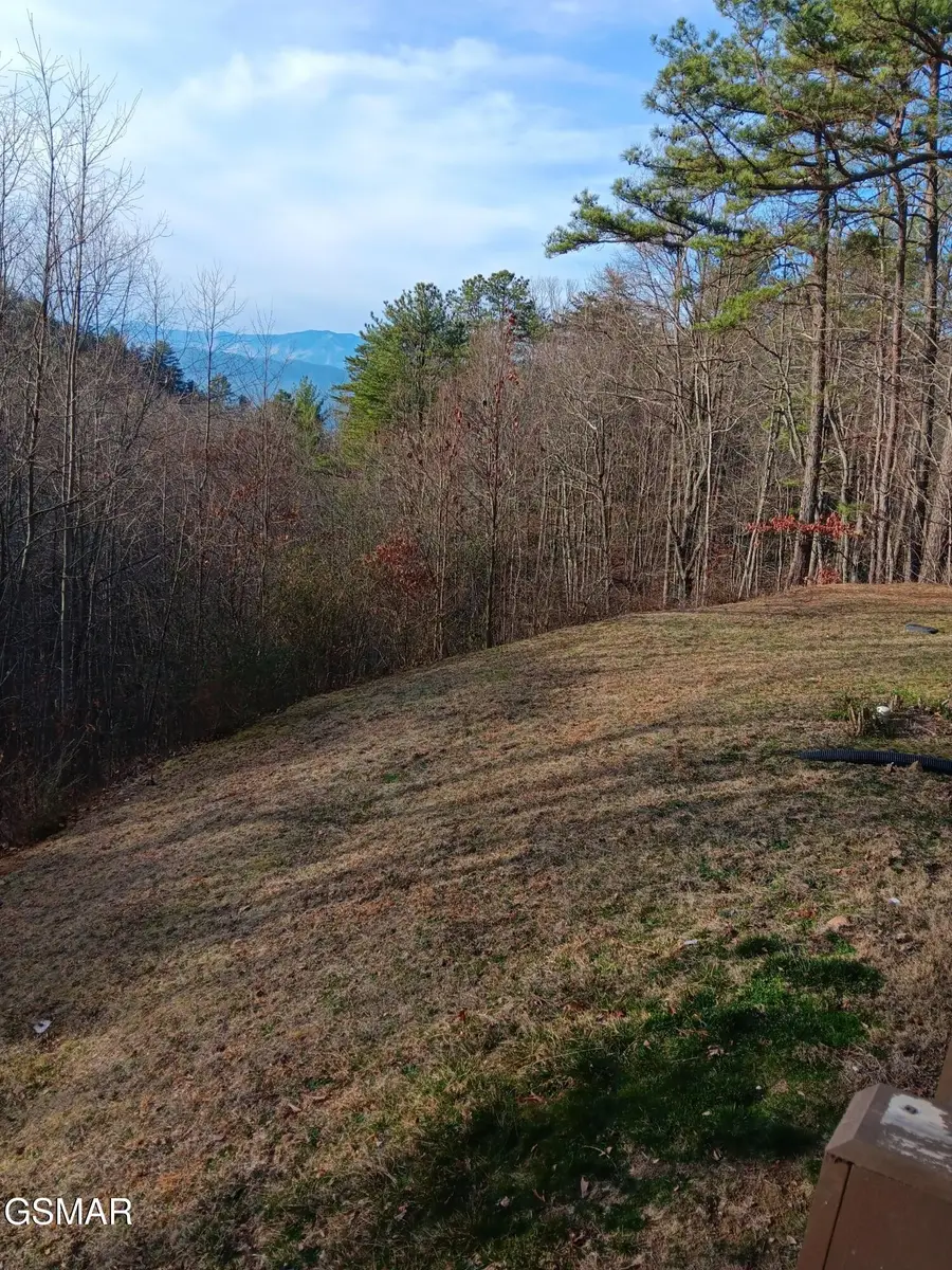1081 Cove Road #APT 1011, Sevierville, TN 37876 - #3