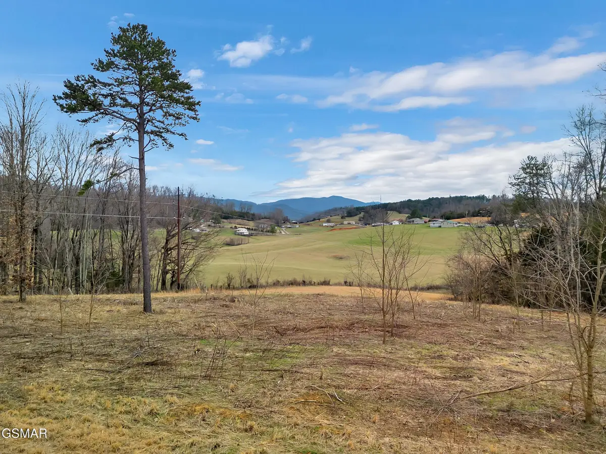 448 Lakota Way, Newport, TN 37821 - #1