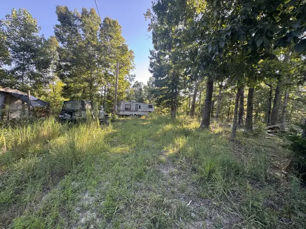 175 Fern Springs Rd, Hohenwald, TN 38462