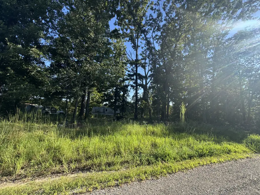 175 Fern Springs Rd, Hohenwald, TN 38462 - #2