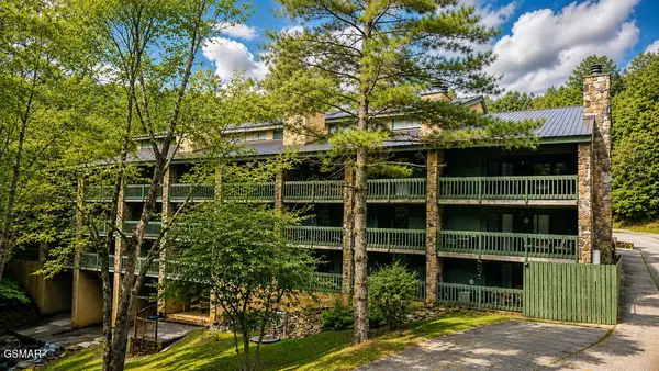 1435 Wiley Oakley Drive #167, Gatlinburg, TN 37738