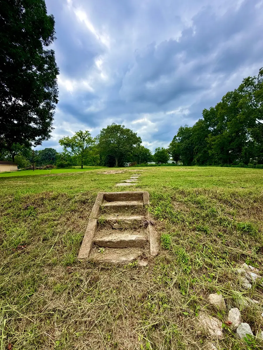 9805 Highway 641 N, Puryear, TN 38251 - #3