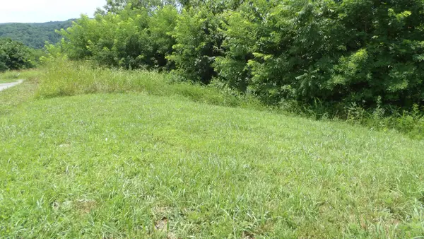 17 D Crappie Lane, Hilham, TN 38568