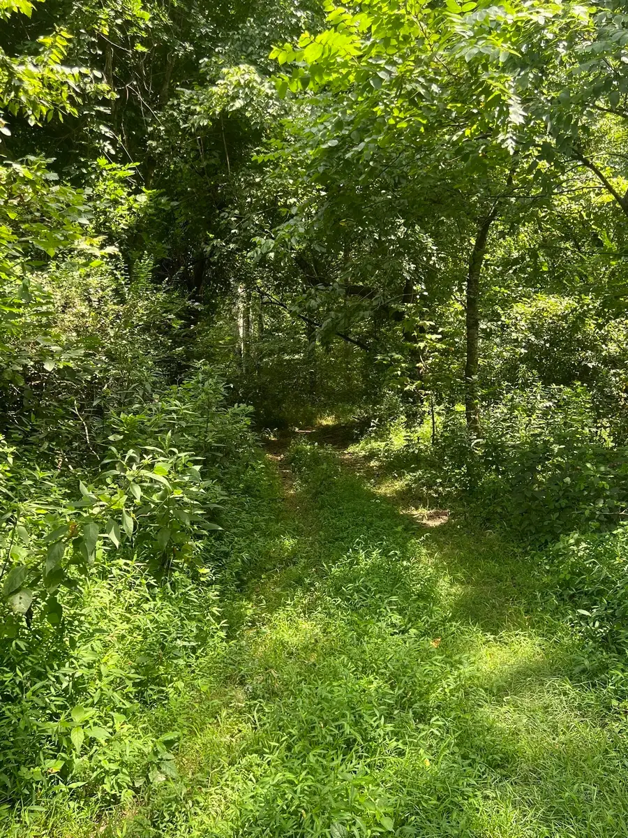 0 N Corinth Rd, Portland, TN 37148 - #3