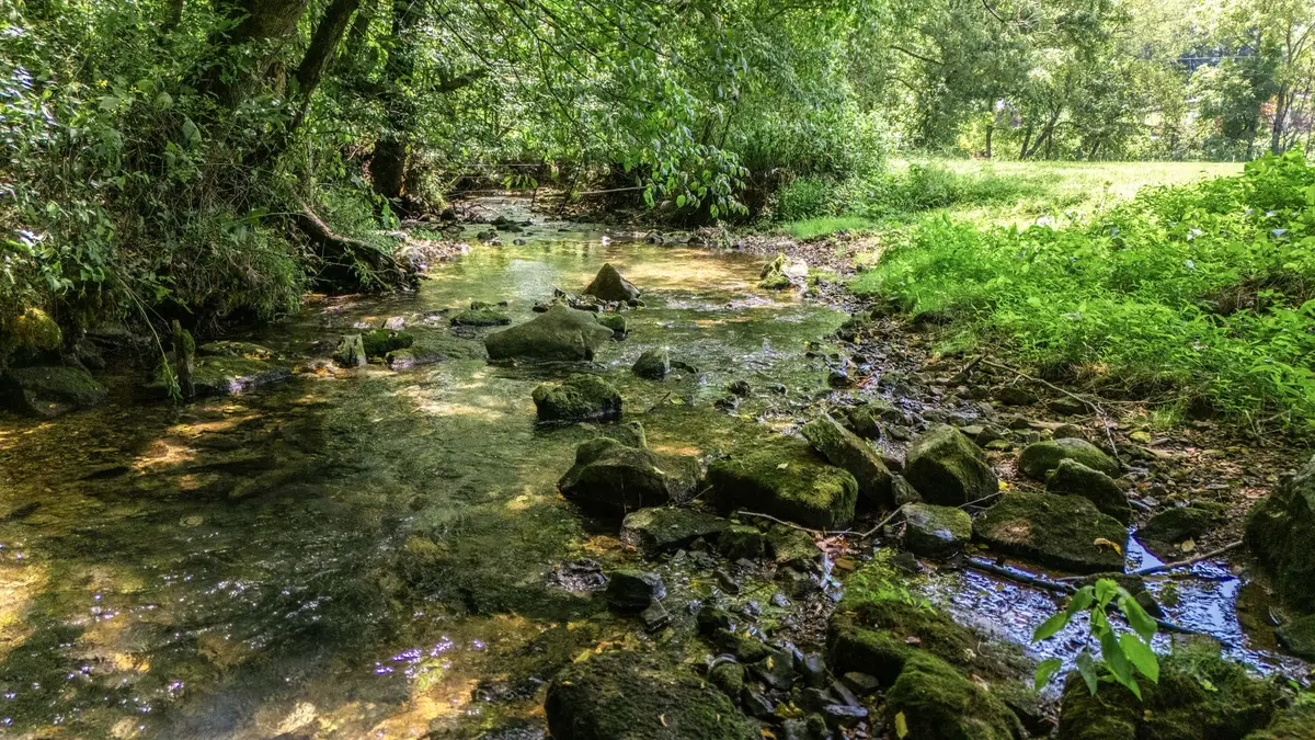 2203 Stones River Rd, Woodbury, TN 37190 - #1